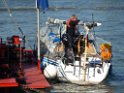Motor Segelboot mit Motorschaden trieb gegen Alte Liebe bei Koeln Rodenkirchen P095